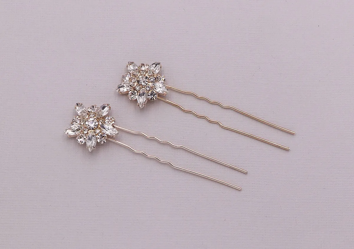 Crystal Bursts Hairpin Set of 2