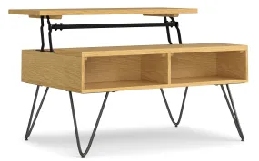 Hunter Small Lift Top Coffee Table in Oak